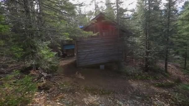 Aconchegante pequena casa da floresta na floresta — Vídeo de Stock