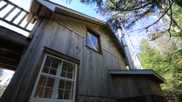 Mini casas fuera de la red en el bosque — Vídeo de stock