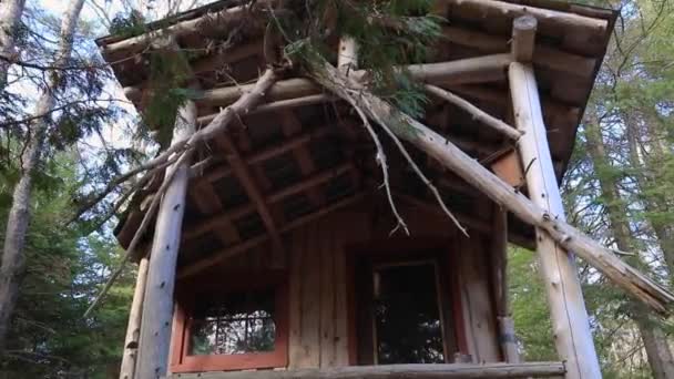 숲 속에 있는 전력망 이 없는 작은 집들의 지붕 — 비디오