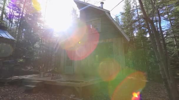 Off grid mini houses in the forest — Stock Video