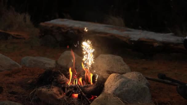 Muž sypání prášek v dřevěném uhlí zaměstnance — Stock video