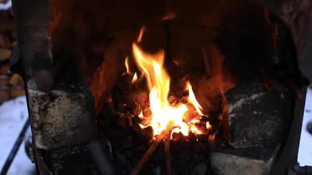 Iron rod burning in fire outside in winter — Stock Video