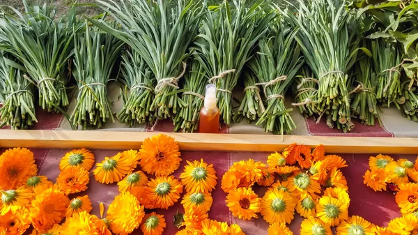 Квіти календули, олія і зелені стебла — стокове фото