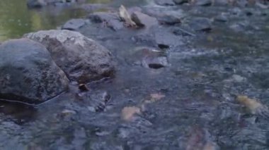 Fışkıran güzel su akıntısı 