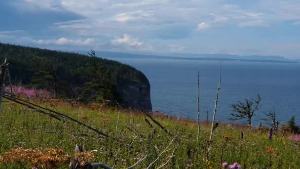 Beautiful Forillon national park in Gaspesie — Stock Video