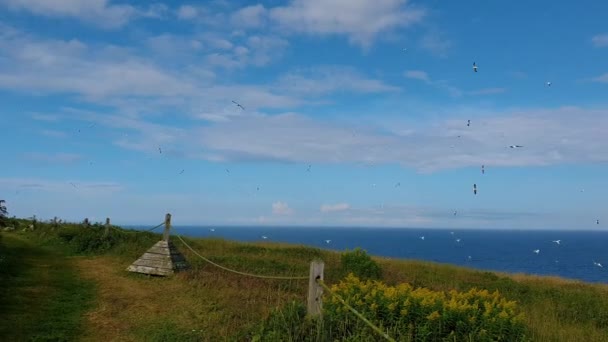 Schöne luftige einsame Insel — Stockvideo