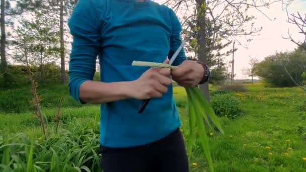 Садівництво в зеленому полі — стокове відео