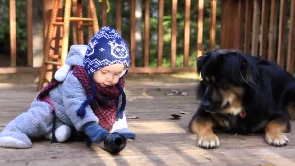 Enfant jouant avec un chien husky — Video
