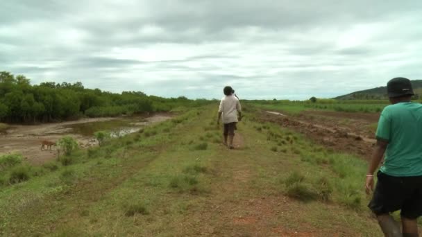 Pueblos caminando en campos de caña de azúcar — Vídeos de Stock