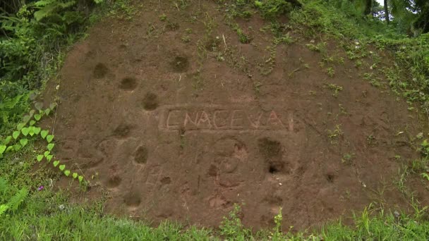 Fresh writing on sand with greenery around — Stock Video