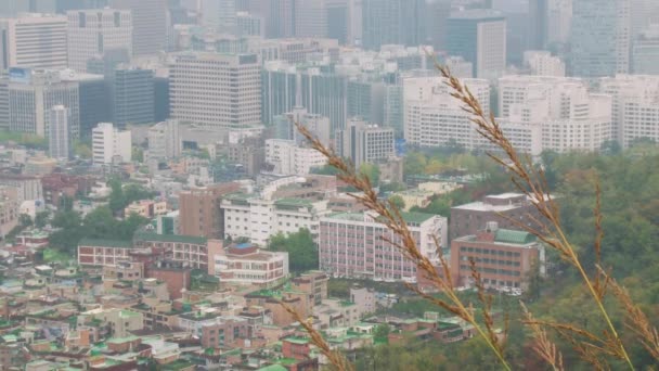 Stadslandskap i en storstad i Korea — Stockvideo