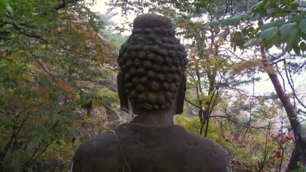 Tiro de uma grande estátua de buda de pedra na floresta. — Vídeo de Stock