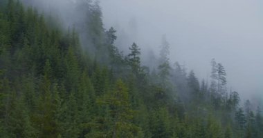 Güzel bir dağ manzarası