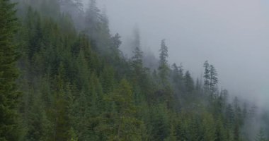 Güzel bir dağ manzarası