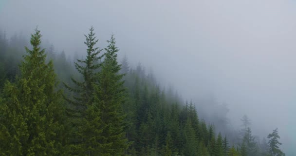 एक सुंदर पर्वत लँडस्केप — स्टॉक व्हिडिओ