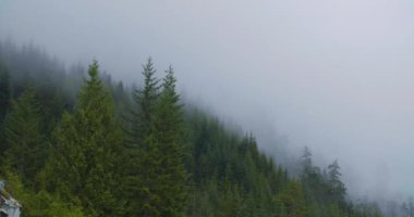 Güzel bir dağ manzarası