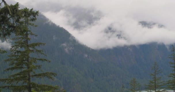 Eine wunderschöne Berglandschaft — Stockvideo