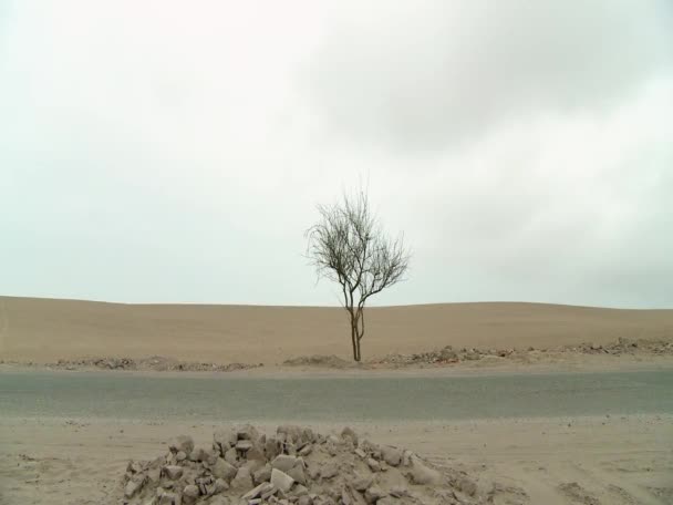 Vue d'une route dans le désert en automne — Video