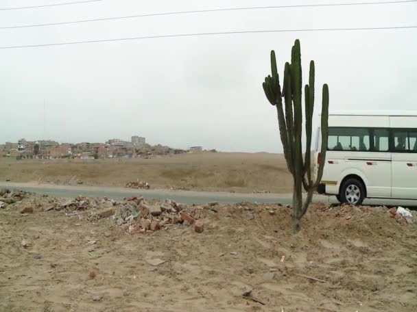 Impianto di cactus su una strada trafficata in mezzo al deserto — Video Stock