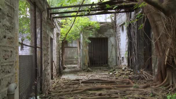 Kemiskinan di Hong Kong meninggalkan daerah perumahan — Stok Video