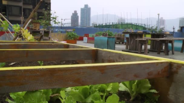 La vida cotidiana en un distrito rural de Hong Kong — Vídeo de stock