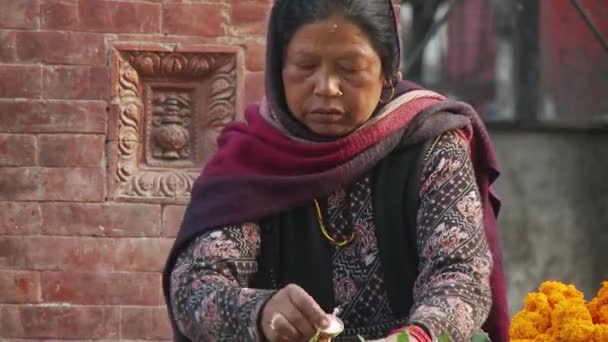 Besök i ett känt tempelområde i Katmandu, Nepal — Stockvideo