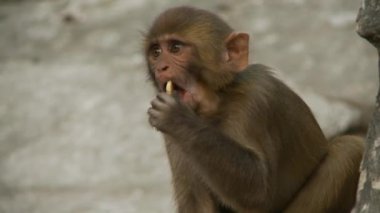 Nepal 'de ölü yakma ayinine yardım ediyorum.