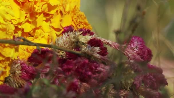 Blume und Weihrauch in einer typisch nepalesischen Opfergabe — Stockvideo