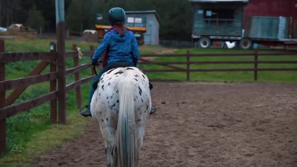 Meisje genieten van paardrijden sessie — Stockvideo