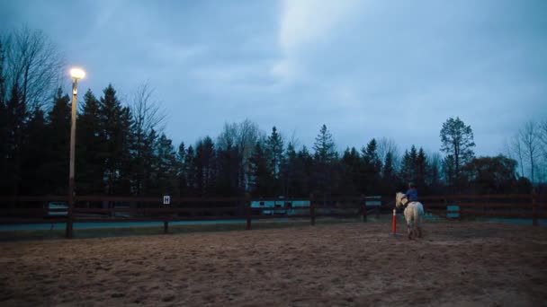 A kislány fehér lovon lovagol a mezőn. — Stock videók