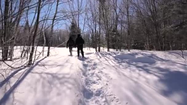 Dos exploradores caminando por la zona cubierta de nieve — Vídeo de stock