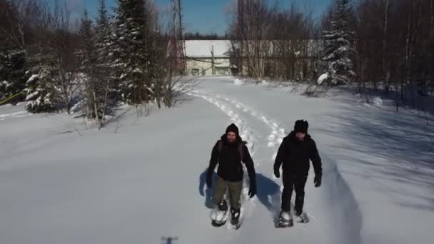 Drone videografi av två dokumentärer promenader — Stockvideo