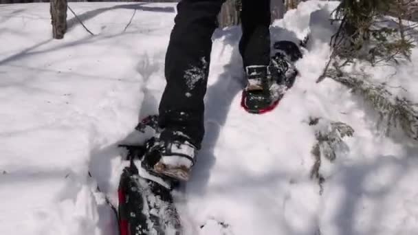 Ung upptäcktsresande vandrar uppför i snö — Stockvideo