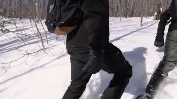 Vandrare vandrar på ett snöigt berg — Stockvideo