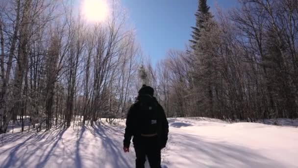 Hacedores de documentales caminando por nieve fresca — Vídeo de stock