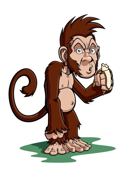 Cartoon monkey — Stock Vector