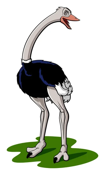 devekuşu