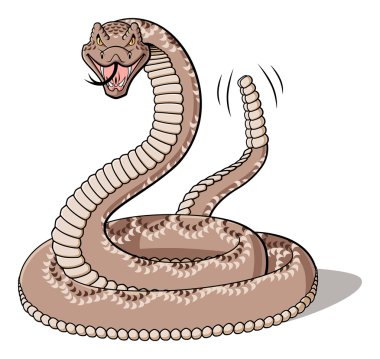 Rattlesnake clipart
