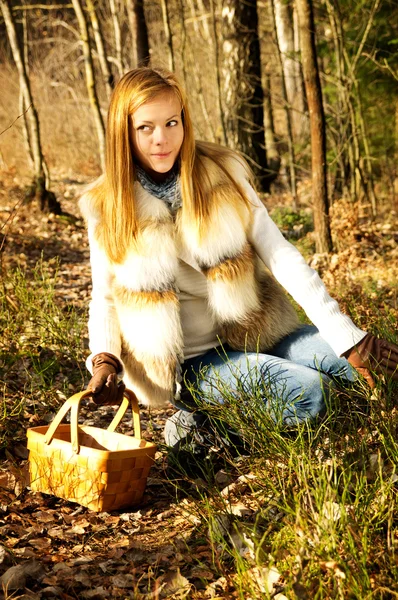 버섯을 찾고 바구니와 함께 숲 속에 여자 — 스톡 사진