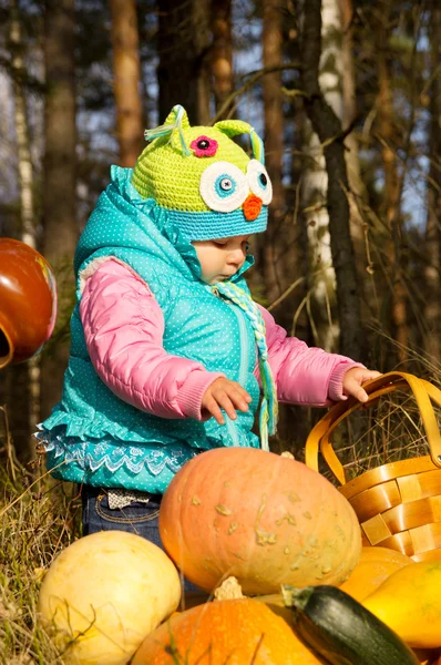 Little girl playing with pumpkins — Stock Photo, Image