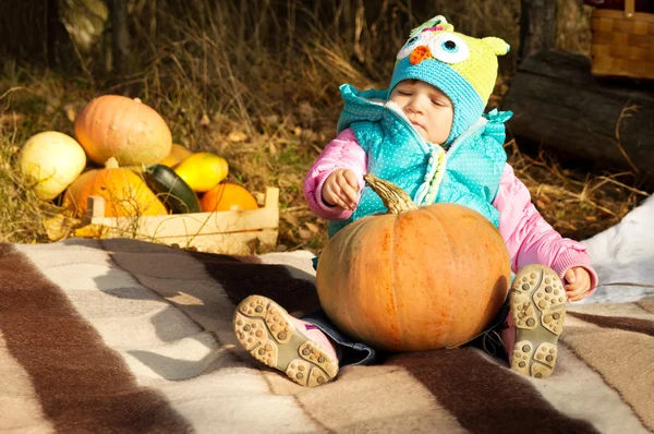 Bambina seduta sul plaid con una zucca — Foto Stock