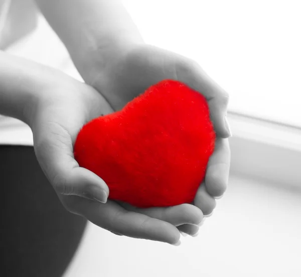 Girl holds a heart in his hand — Stock Photo, Image