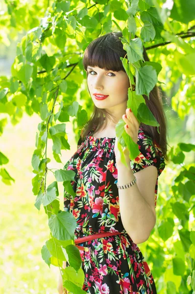 Красивая девушка о дереве — стоковое фото