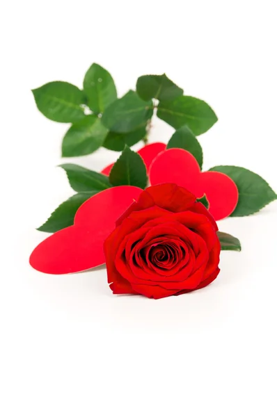 Rosa vermelha descansa com corações feitos de papel — Fotografia de Stock