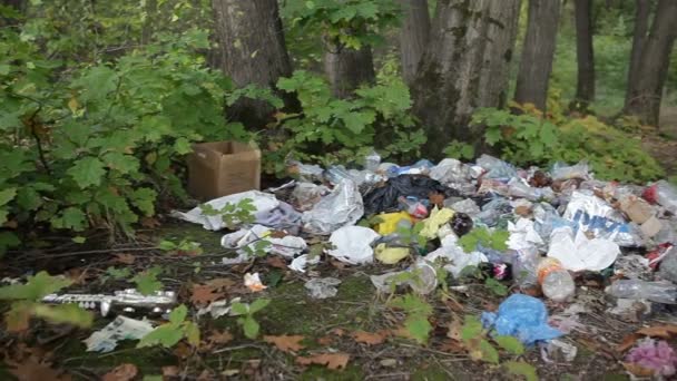 Drohobych Obwód Lwowski Ukraina 2020 Wysypisko Śmieci Tworzyw Sztucznych Odpadów — Wideo stockowe