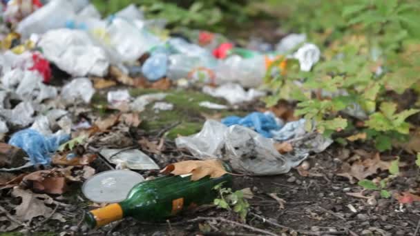 Desechos Comida Plástico Esparcidos Bosque Después Los Picnics Vertedero Basura — Vídeo de stock