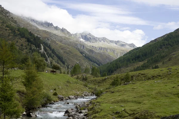 Paisagem alpes Fotos De Bancos De Imagens