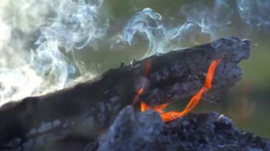 Şenlik ateşi. Alevlerin yavaş yavaş yanarken yakın çekim görüntüsü. Yumuşak odak.