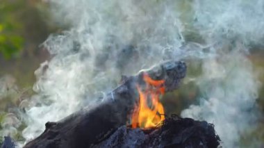 Şenlik ateşi. Alevlerin yavaş yavaş yanarken yakın çekim görüntüsü. Yumuşak odak.