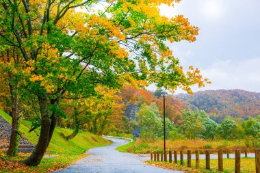 Sonbahar yaprakları renk değişimi, Akita, Japonya 'da sonbahar yaprakları, renkli yapraklar. Kırmızı Japon akçaağacı. Sonbahar yaprakları. Japonya turistik yerleri. Japonya sonbahar mevsimi. Japonya 'nın en iyi yerleri..